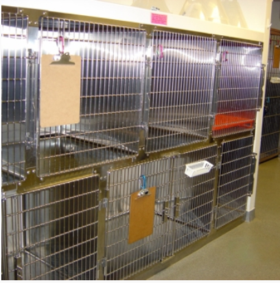 ICU small animals kennels