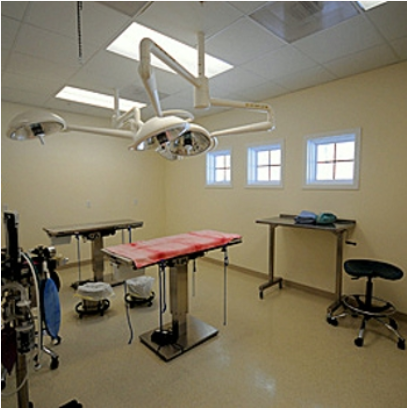 Surgical Suite